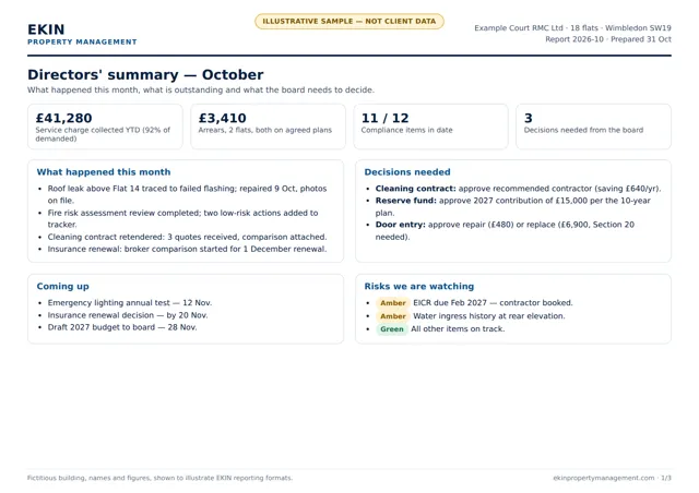Illustrative sample: Directors' summary